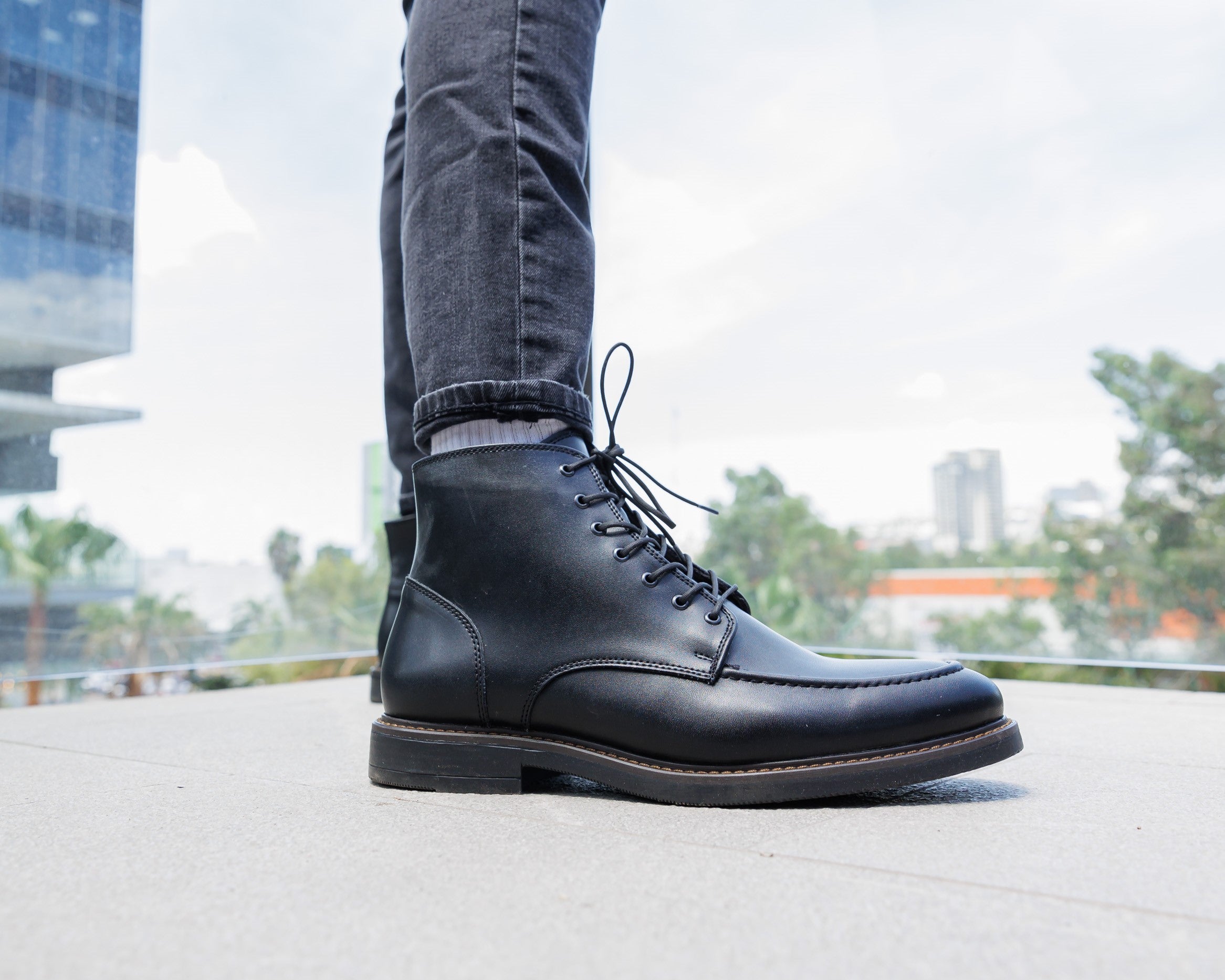 Palomo 602 Negro